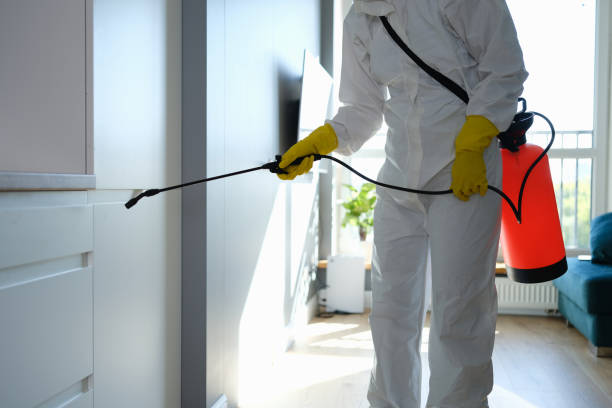 Best Mold Cleaning Services  in West Frankfort, IL
